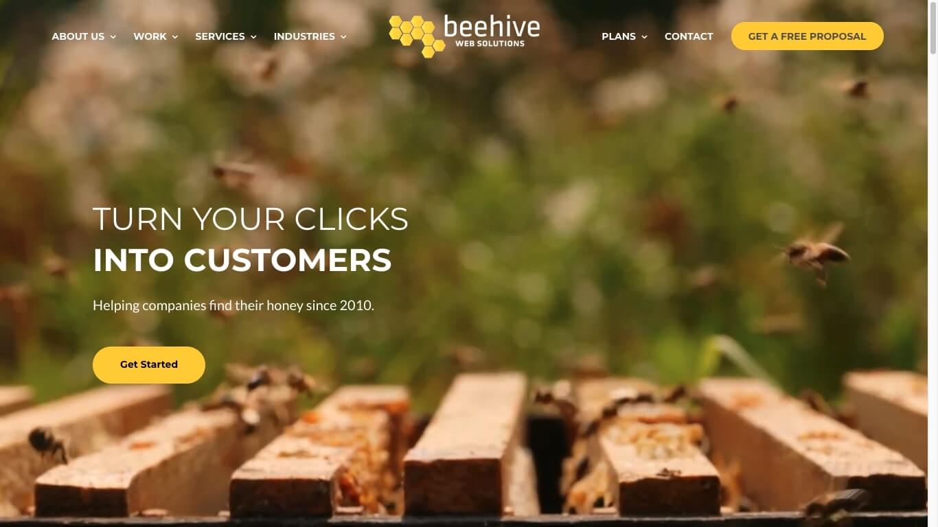 website of Beehive Web Solutions