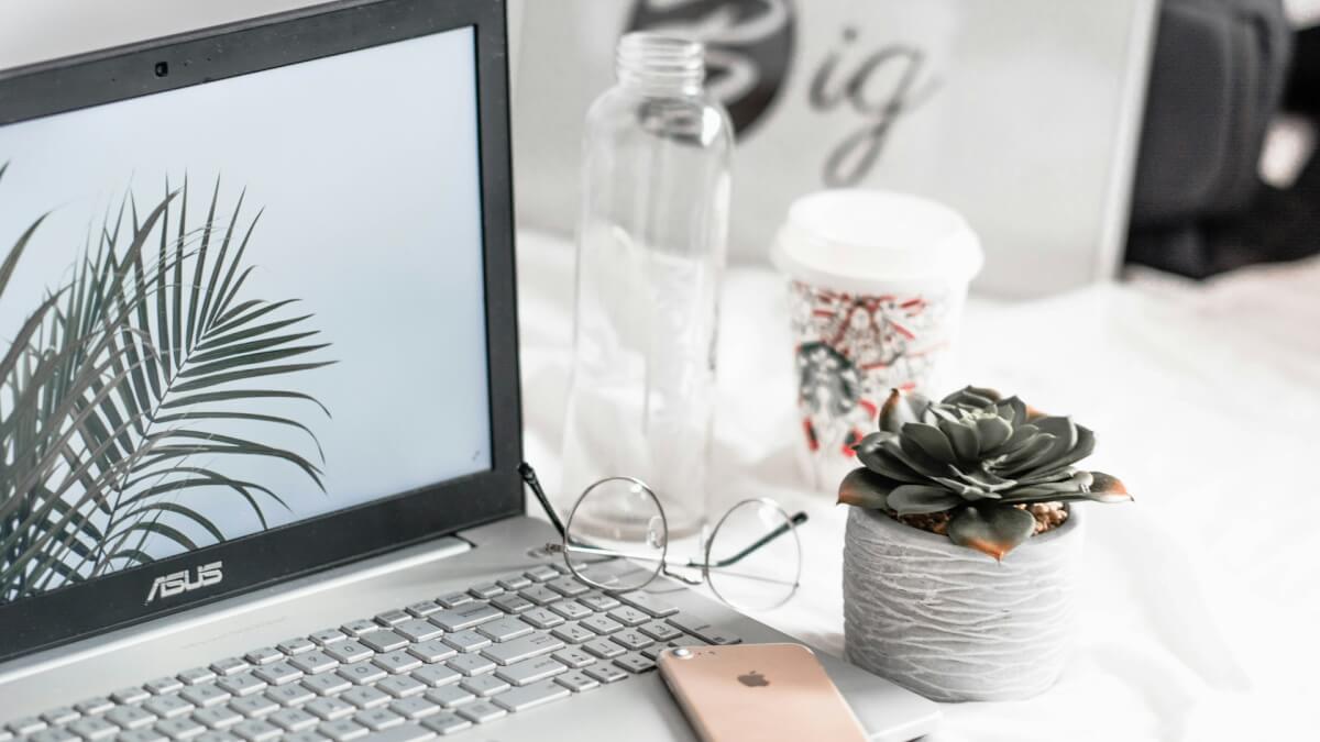 turned-on asus laptop near eyeglasses, succulent plant, and empty clear glass bottle