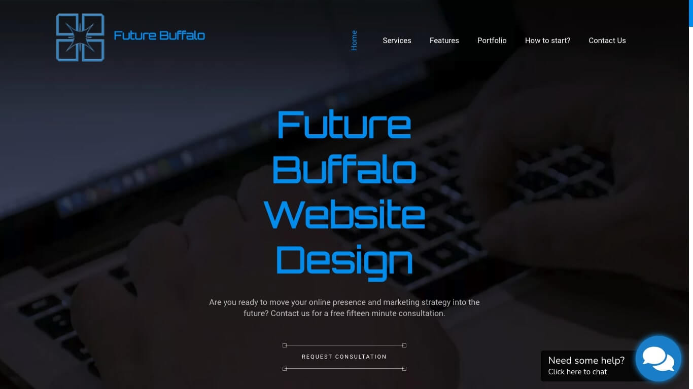 website of Future Buffalo Website Design