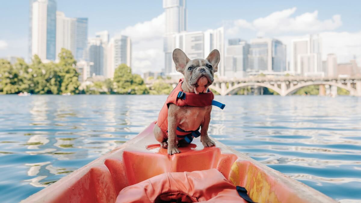 lady bird lake, austin, texas