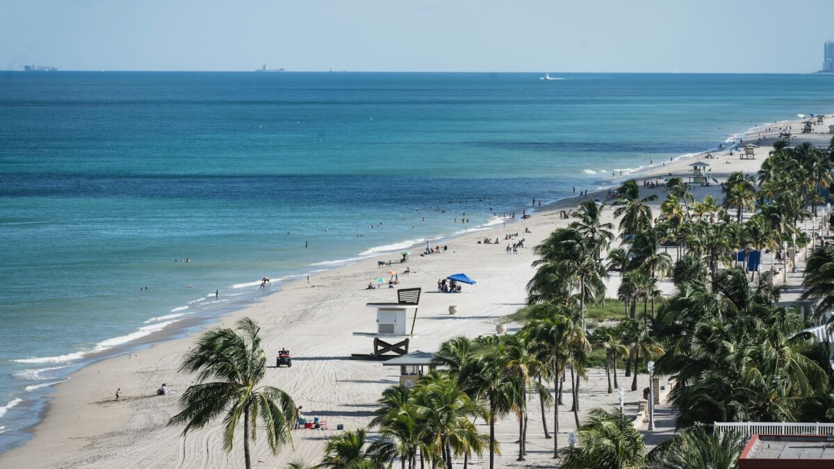 people on beach during daytime