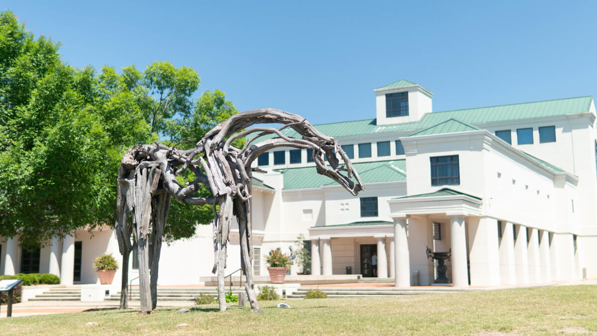 columbus museum in columbus, georgia