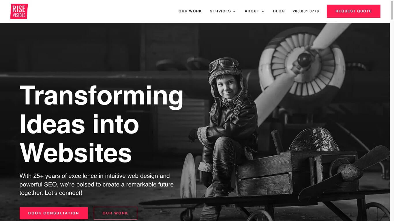 website of Rise Visible