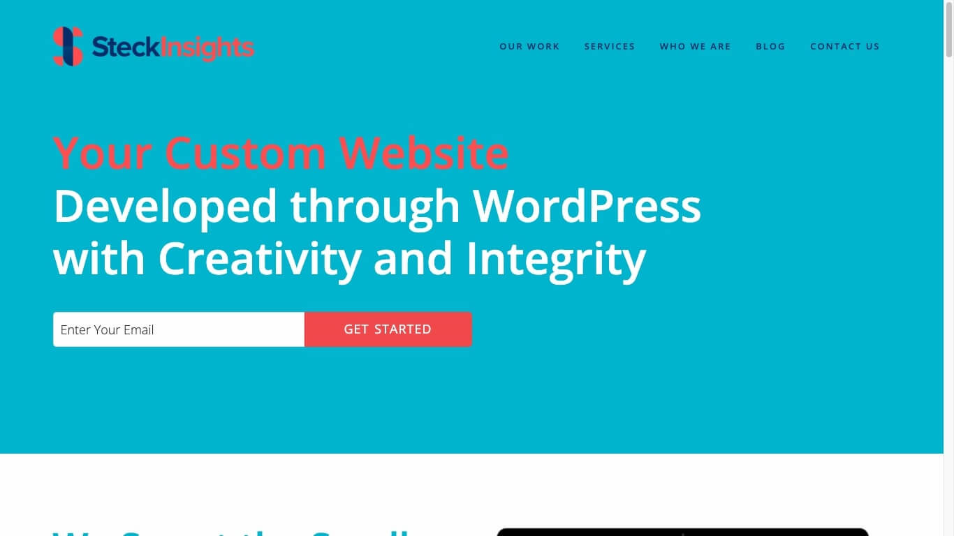 website of Steck Insights Web Design